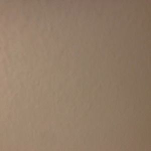 Meet your Posher, Alison